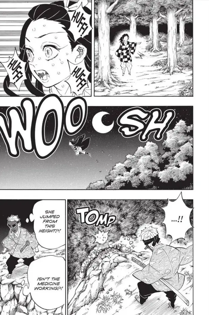 Demon Slayer Chapter 185 image 08_optimized